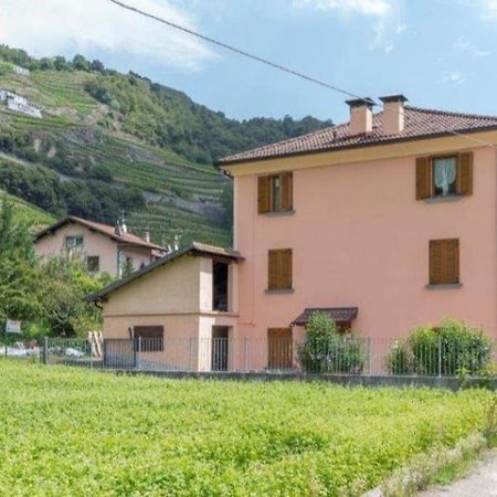 Отель Joy Valtellina Per Amanti Degli Animali Tresenda Экстерьер фото